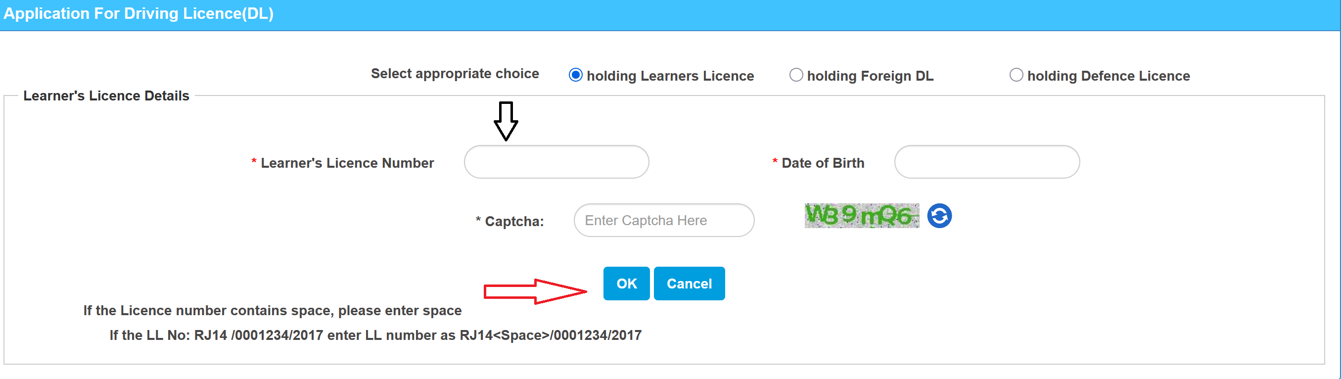 Application for Permanent Driving licence